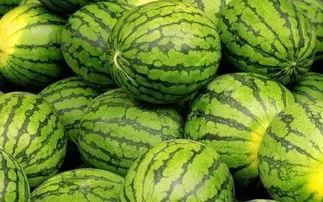 吃瓜群众的瓜指的是西瓜还是瓜子,吃瓜群众究竟偏爱西瓜还是瓜子？