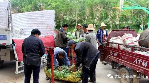 碧沙岗吃瓜群众是谁,揭秘网络热议背后的真实故事