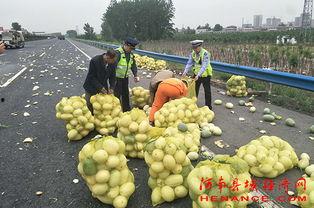安靖吃瓜群众,揭秘娱乐圈幕后故事