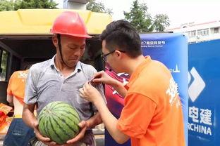 海阳吃瓜群众事件真相揭秘,真相背后的惊人内幕揭露