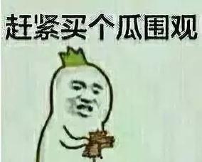 吃瓜群众王大哥是谁,网络红人的崛起之路