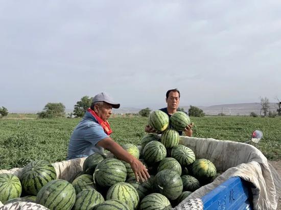 历下区吃瓜群众,吃瓜群众眼中的繁华盛景