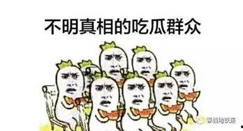 一起来做吃瓜群众怎么说,成为吃瓜群众的快乐生活指南